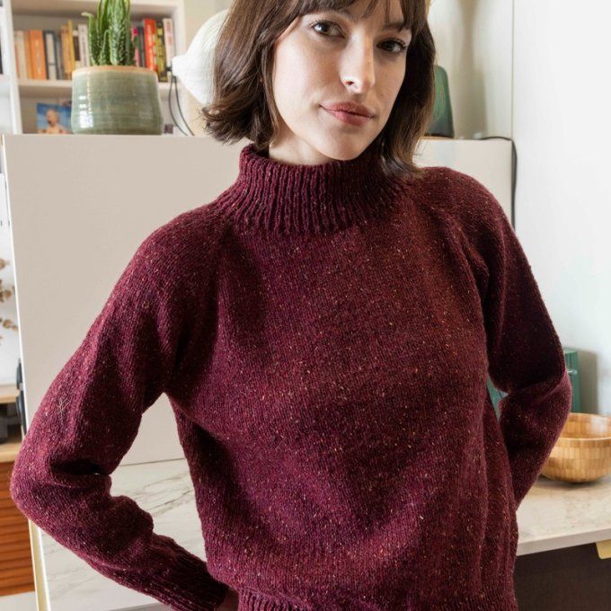 Modèle tricot PDF Pull Dominique